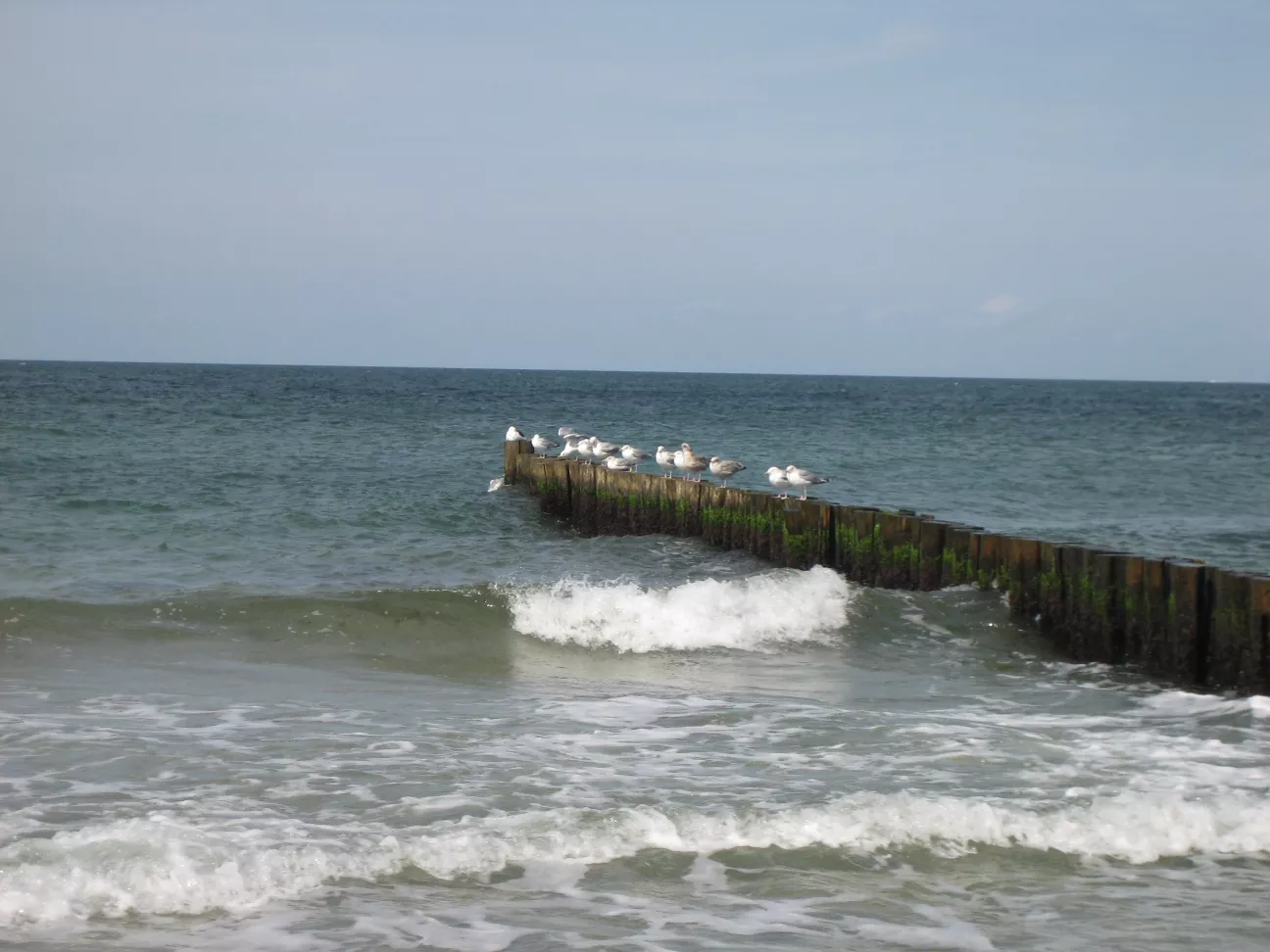 Wie ein Tropfen im Meer